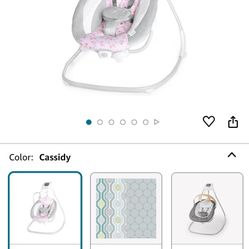 Ingenuity Baby Swing