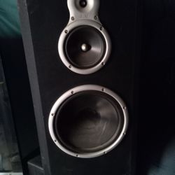 2 DCM 12A Series Floor Loud Speakers