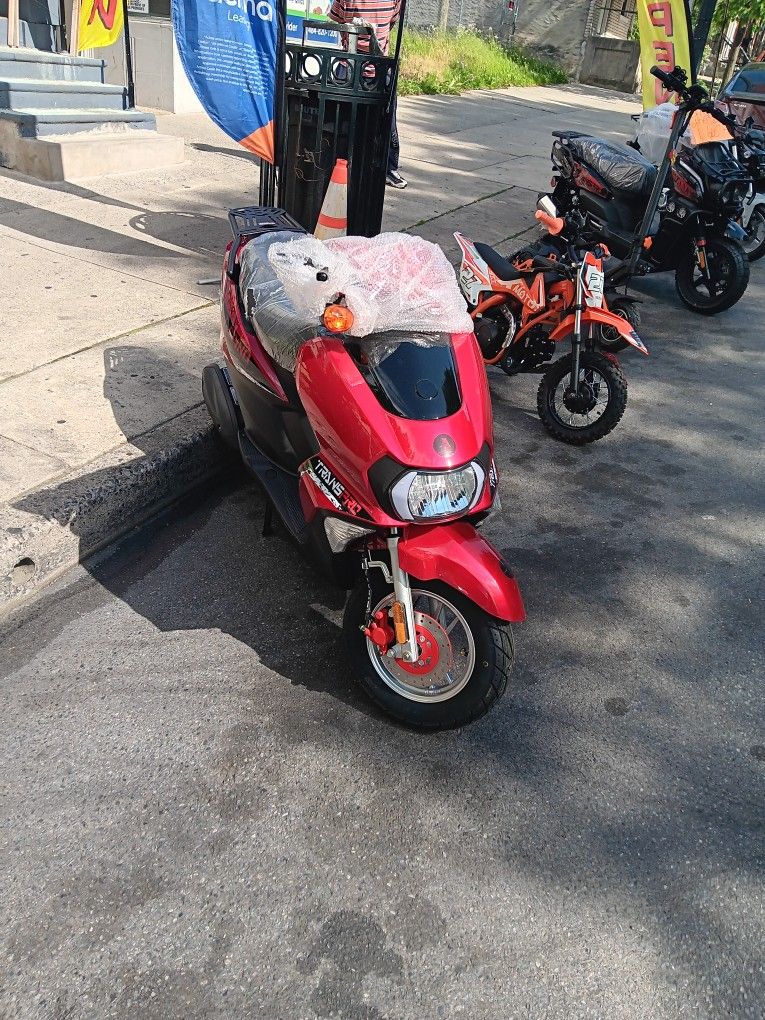 Gas Scooter 200cc 2025 New Kings Scooter