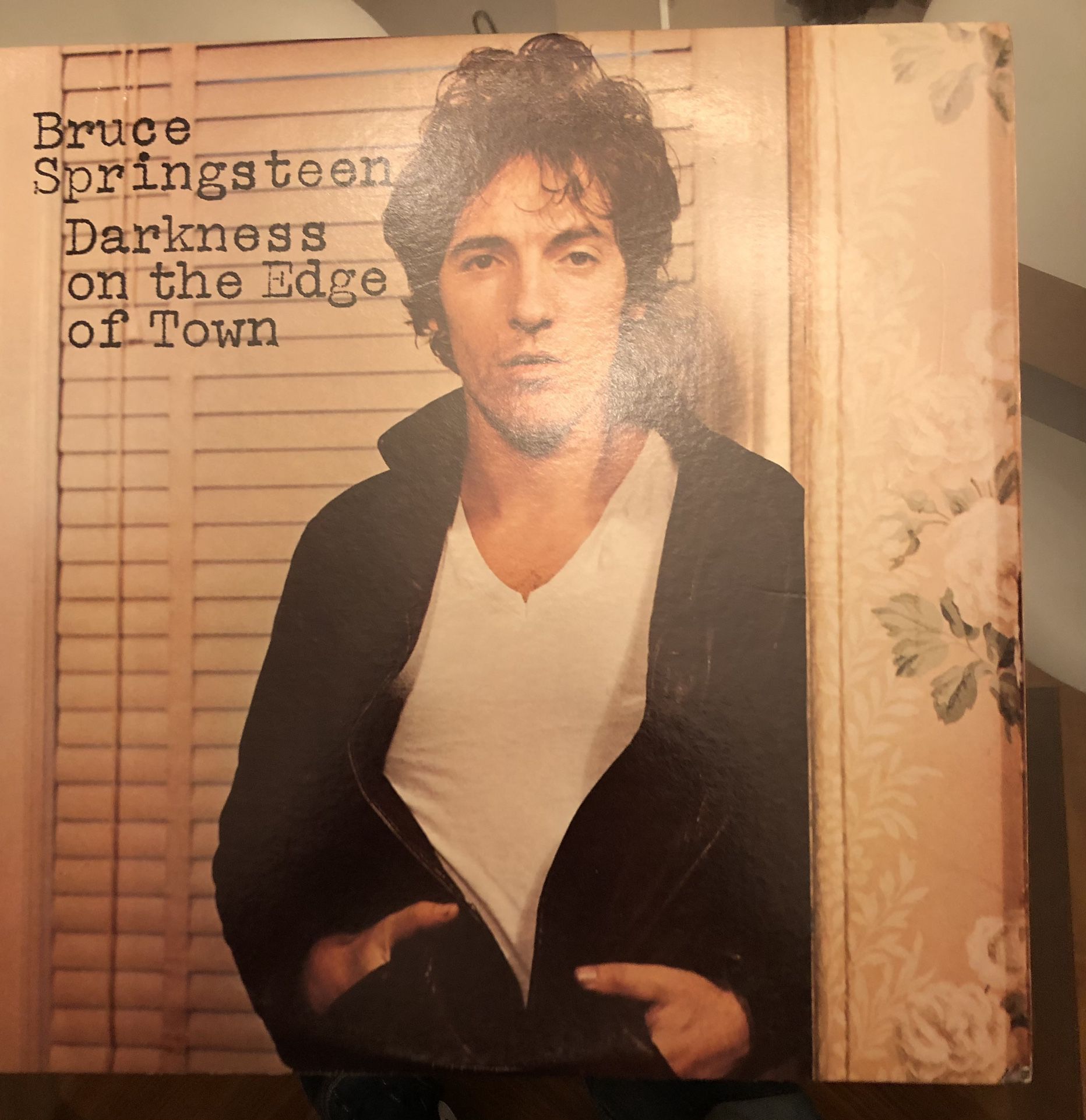 Bruce Springsteen vinyl $50