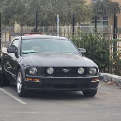 2007 Ford Mustang Shelby Gt500