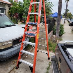8ft Ladder New