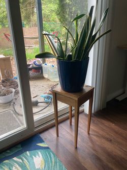 Plant stand