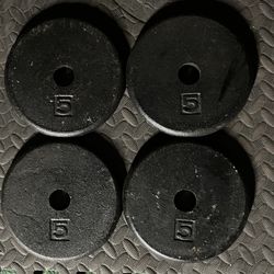 Standard 1" 5lb x4 weight plates weights plate 5 lb lbs 5lbs Cast Iron for Dumbbell Dumbbells Barbell bar