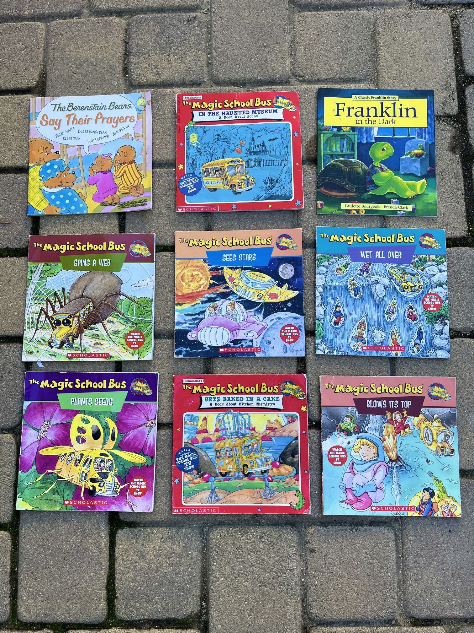 Magic School Bus / Scholastic Books/ Franklin/ The Berenstein Bears