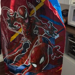 Spiderman Blowup Punching Bag