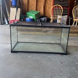 FREE Fish Tank