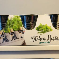 $15 Kitchen Herb All In One Ready To plant And Get Some Herb In Your Kitchen  Brand New And Pick Up Gahanna