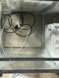 20 Gallon High Fish Tank