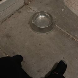 Dog Bowl