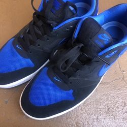 SB Dunks