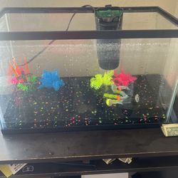 10 Gallon Fish Tank