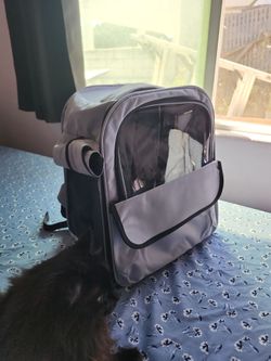 Cat carrier backpack