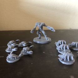 Crabs And Beetles