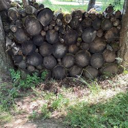 Free Firewood, Wood Rounds, Telephone Poles