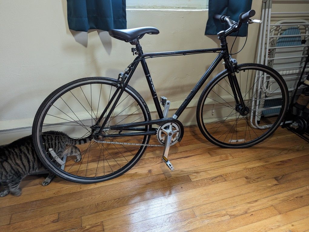Trek Earl Commuter Bike for Sale in Norfolk VA OfferUp