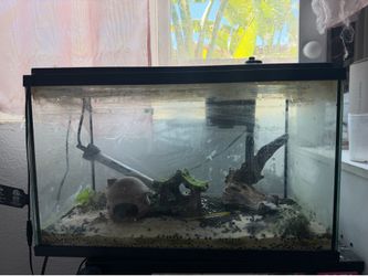 10 gal tank
