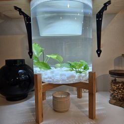 3 Gallon Aquarium TopFin Betta / Fish