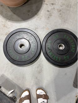 25 lb bumper plate pair