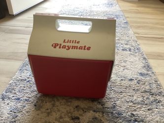 Little playmate cooler or lunch box