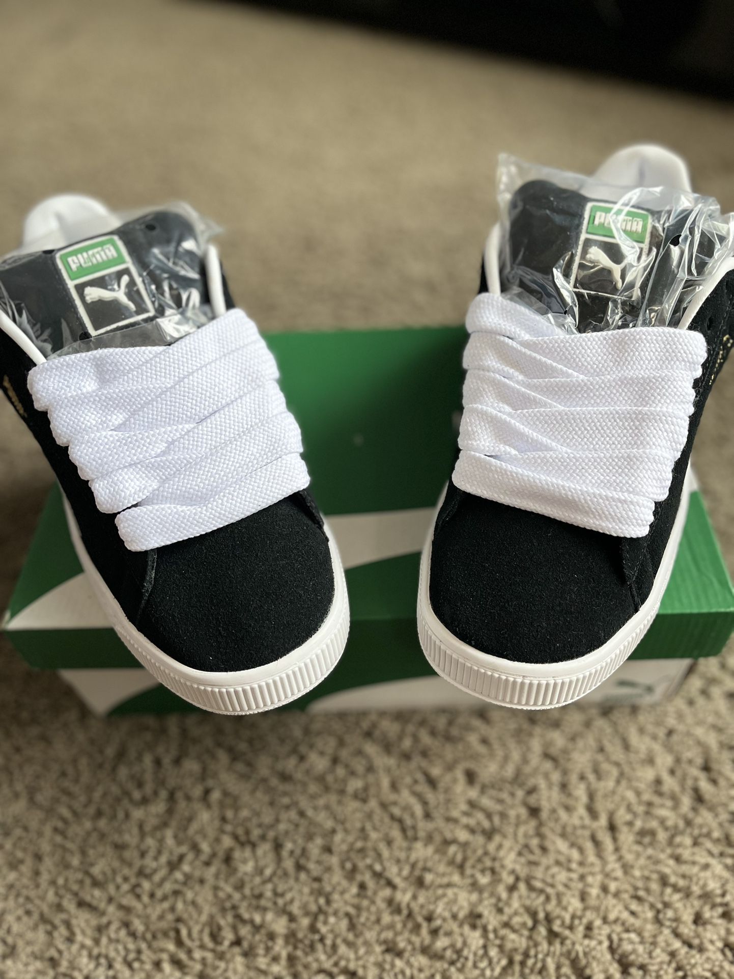 Pumas
