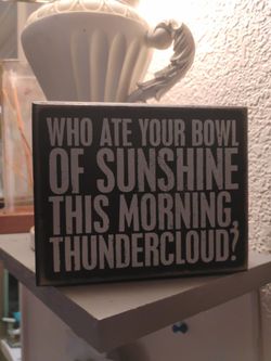 Funny Quote Wooden Box Sign