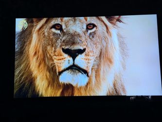 Lg smart tv 4k 75QNED80ARA 75 inch