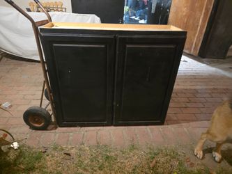 Cabinet with two shelves