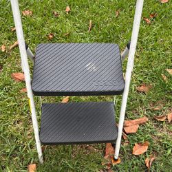 Costco Two Step Ladder