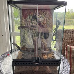 Exo Terra Terrarium 