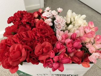 Spring Flowers