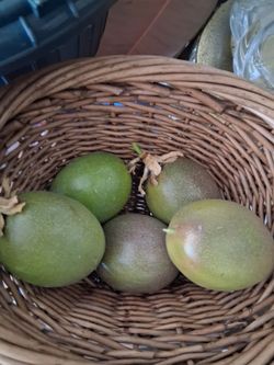 Yellow Passion Fruits