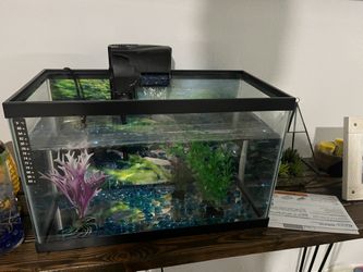 Small Fish Tank