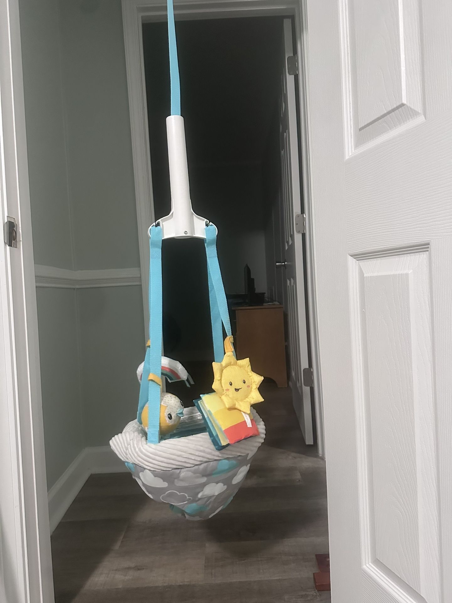 Evenflo Doorway Jumper