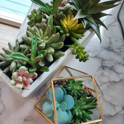 Artificial Succulant Plants Set Of 2