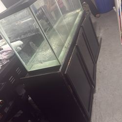 100 Gallon Fish Tank 