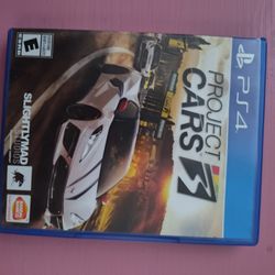 PS4 Video Game Bundle 