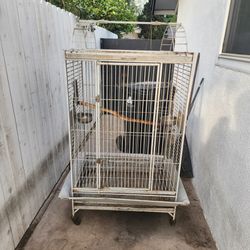 Large macaw parrot African Grey, cockatoo metal cage