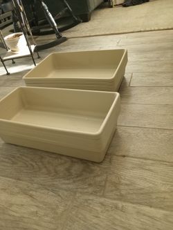 Plastic Nasco Trays $20