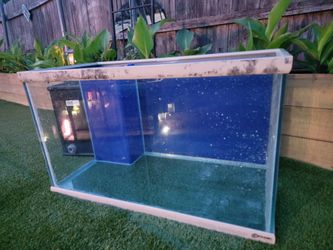 50 Gallon Saltwater Fishtank