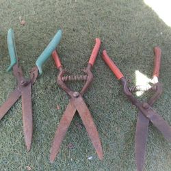 Scissors