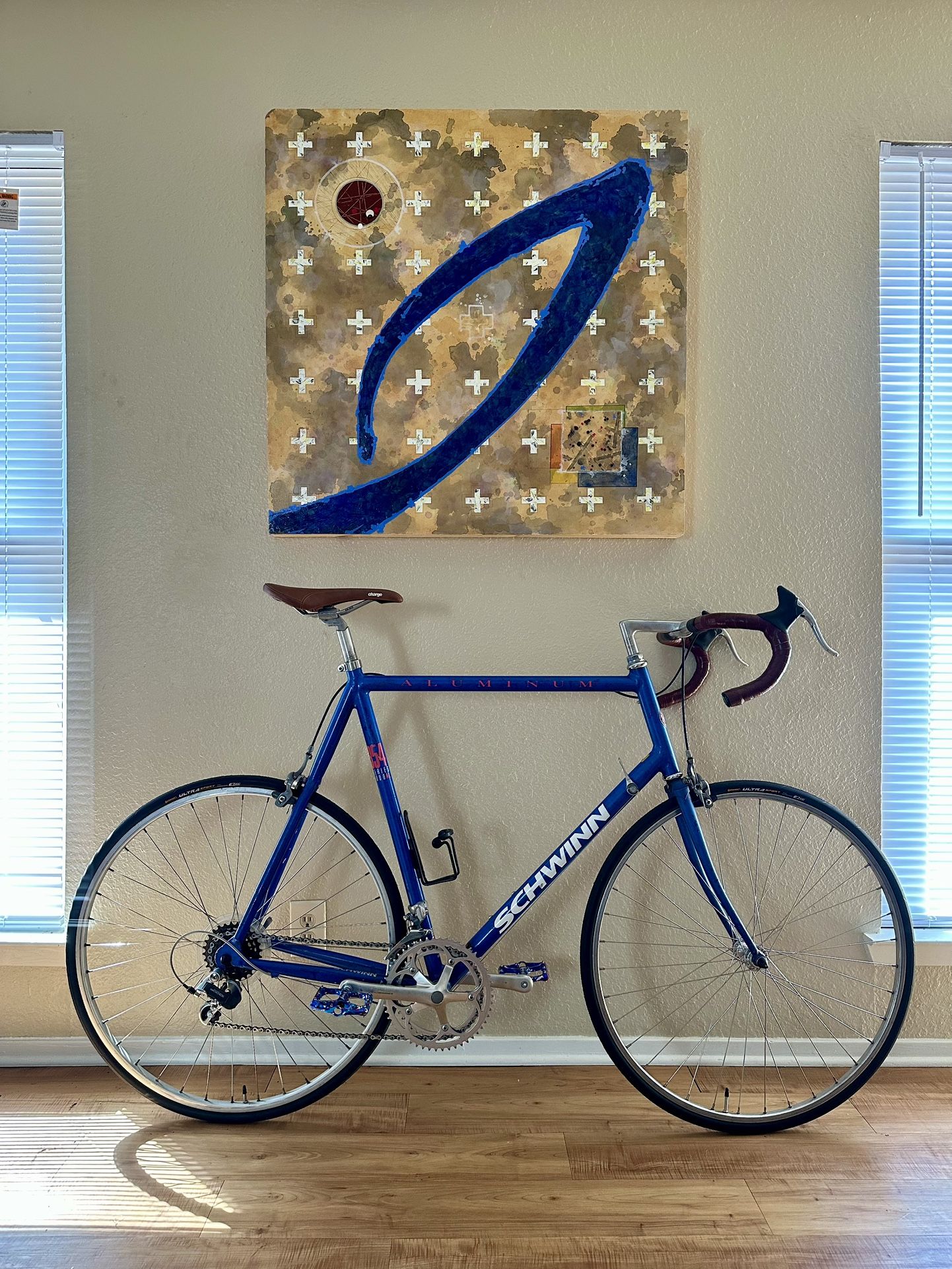 Schwinn 354 Series 5000AL (large) - $300!