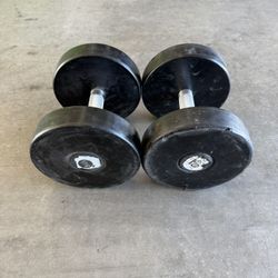 50lb Dumbbells