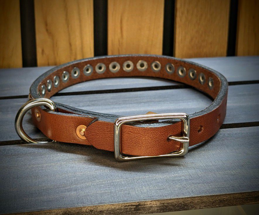 Leather Dog Collar 