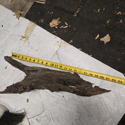 Aquarium Driftwood