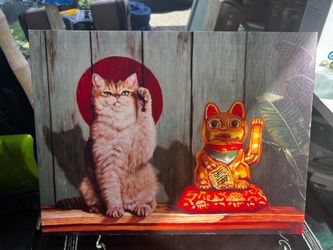 Cute cat picture