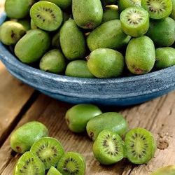 Hardy Kiwi 