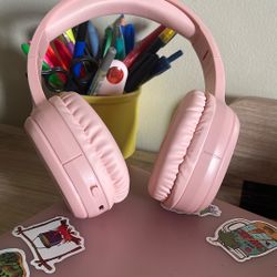 Fisher Headphones Worked Pretty Good, Nothing Wrong With It, Used It For Very Little Times