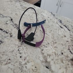 Fitbit Purple