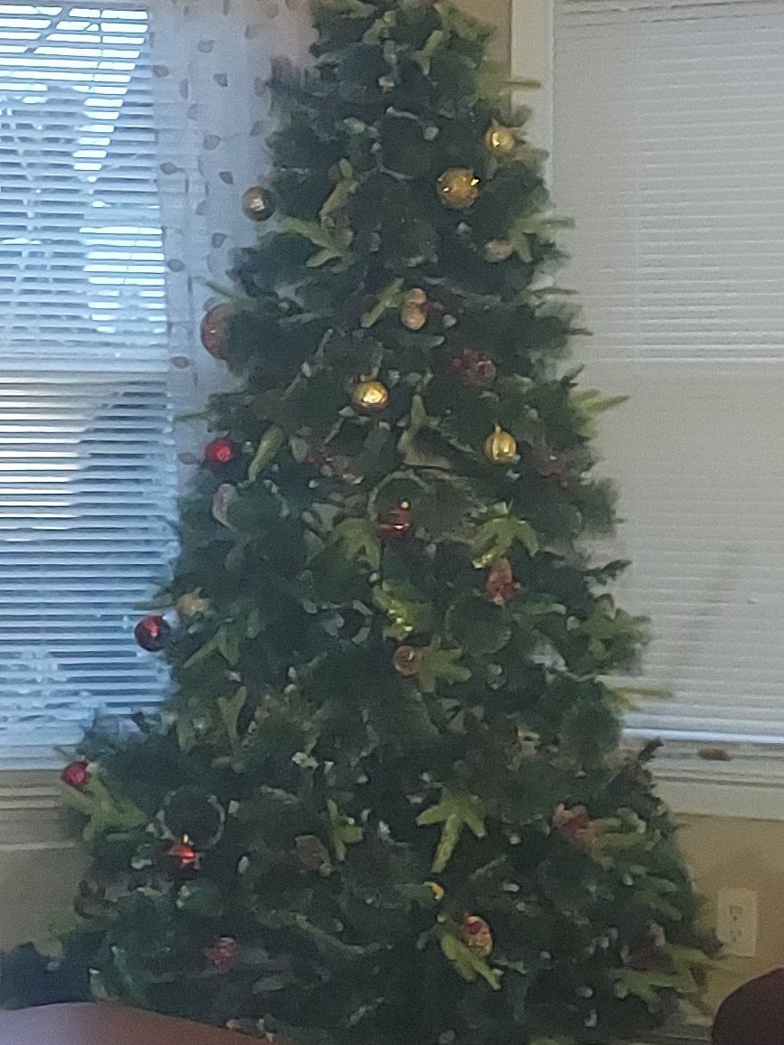 12 Ft. CHRISTMAS TREE. Including white lights and stand. Also Including Red and Gold Christmas tree skirt